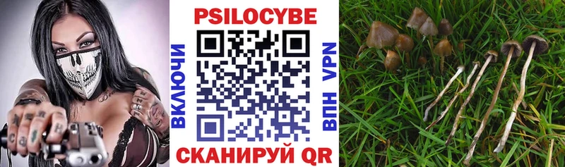 Псилоцибиновые грибы Cubensis  наркошоп  это наркотические препараты  Карабаново 